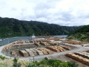 abeltasman (02)